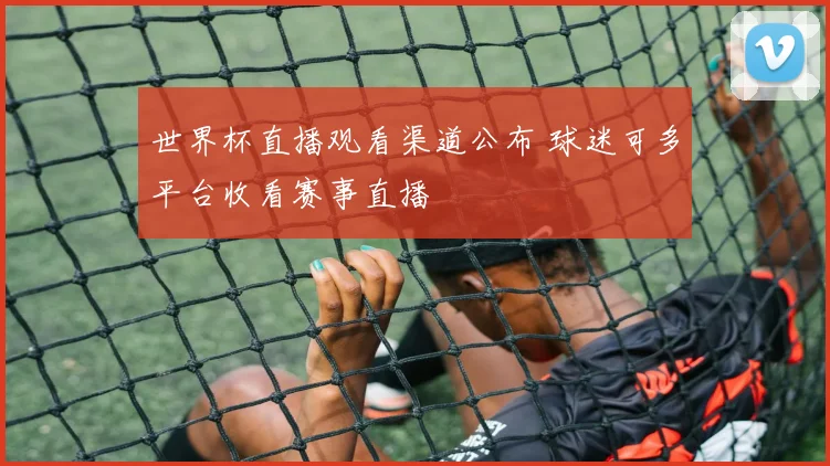 世界杯直播观看渠道公布 球迷可多平台收看赛事直播