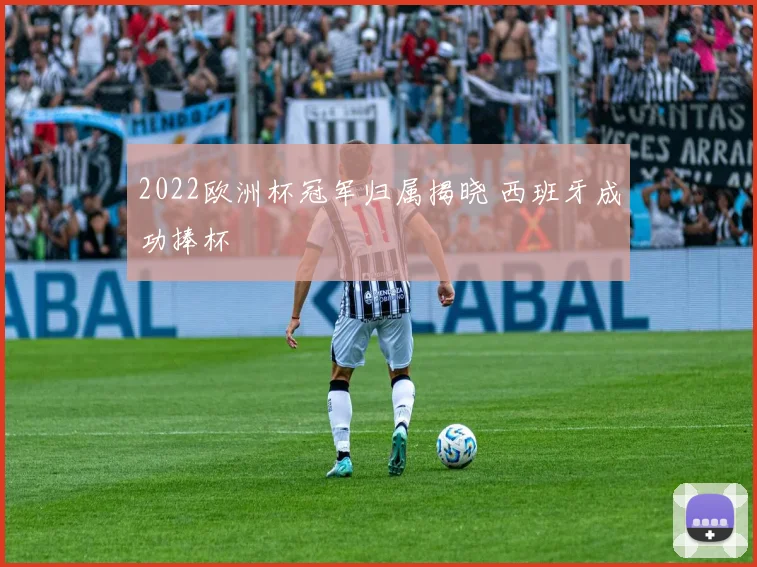 2022欧洲杯冠军归属揭晓 西班牙成功捧杯