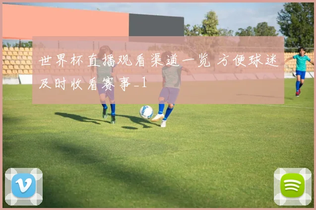 世界杯直播观看渠道一览 方便球迷及时收看赛事_1