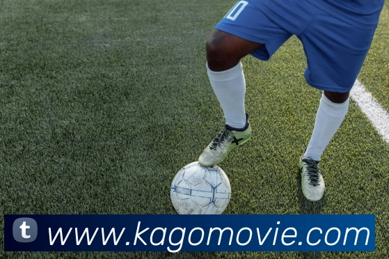 电子娱乐pg网站APP 高清赛事图